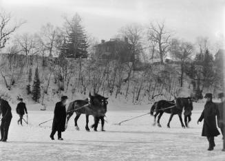 High Park, Grenadier Pond, with John Ellis' house ''Herne Hill'' in background