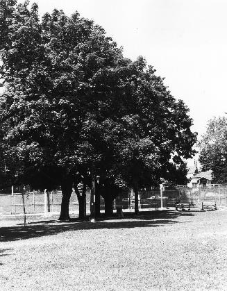 Davisville Park, Davisville Avenue, north side, between Acacia Road and Mount Pleasant Road, To…