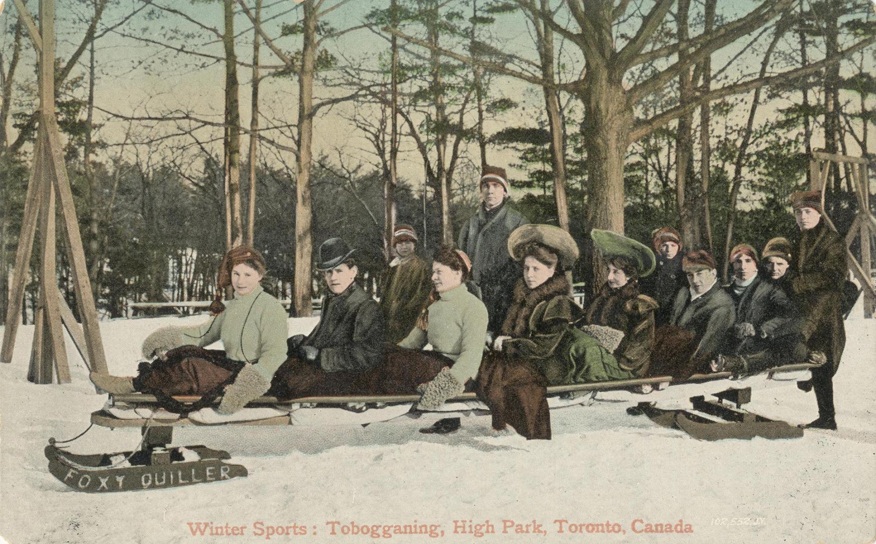 Winter sports:  tobogganing, High Park, Toronto, Canada