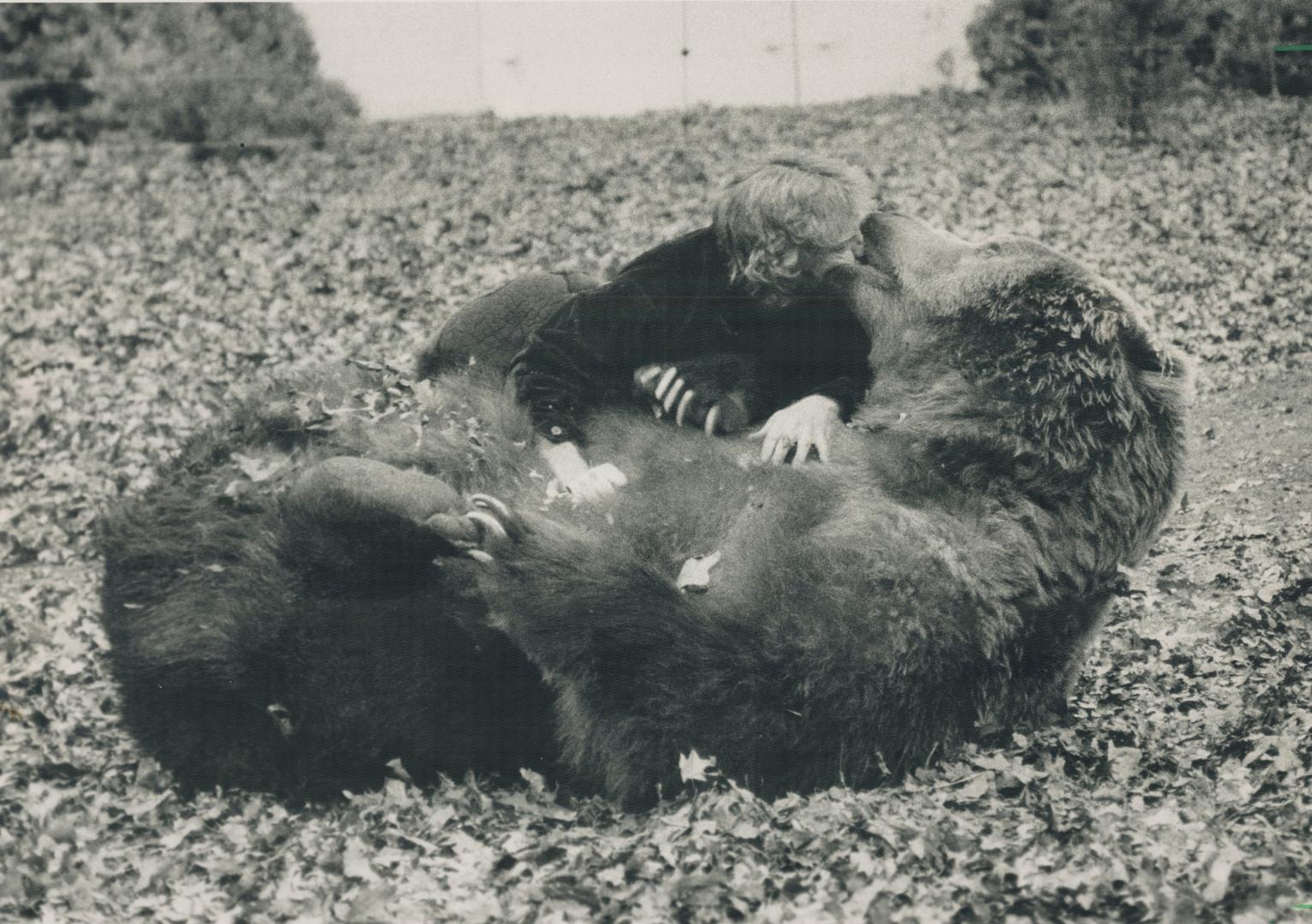 Just grin and bear it. Bart the Bear shows what a gentle giant he is as he frolics with owner and trainer Doug Seus. The star of several movies, most (...)