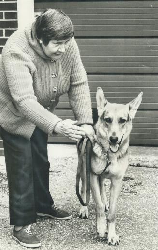 Dogs--the good and the bad