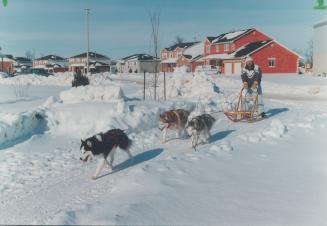 Siberian Husky Team Owner: Mark James