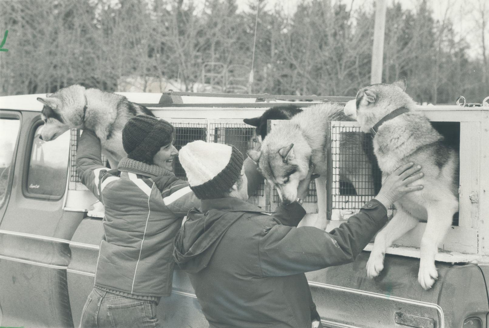 Donna Koens and Wayne Buckley had a hard time keeping their dogs in their truck kennels