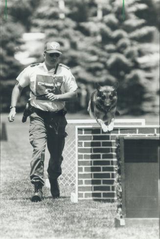 Animals - Dogs - Police German Shepherd