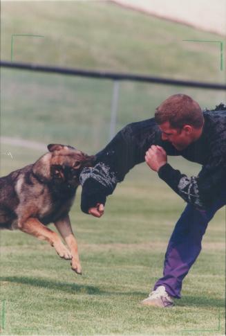 York Region Const. Jeff Bright and Thor