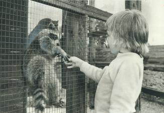 Sharing a treat with a new friend