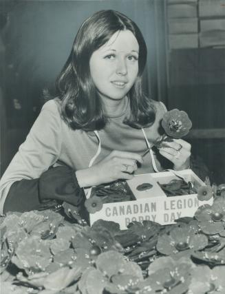 Ready for Poppy Day. Office worker Corinne Therien, 22, stocks up a tag box with poppies made by disabled war veterans in advance of tomorrow's Poppy Day tag drive by Canadian Legion