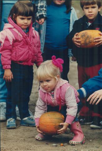 An eager boy named Cody, left, and Emily Sampson, 2, above, compete in a pumpkin bowling match at the Greater Schomberg Pumpkin Games at Puck's Farm yesterday