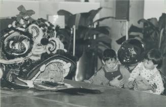 Hailing new year: Andrew Wong, 4, left, and Andrew MacKenzie, 5, are held up to the dragon at a Chinese New Year ceremony sponsored by the Chinese Business Association at city hall last night