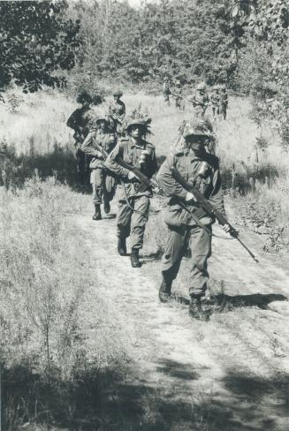 Modern equipment: Grizzly armored troop carriers (above) are amphibious and can carry 10 soldiers and a driver