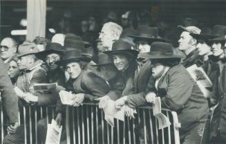 Eager buyers watched the action and saw someone pay a record $10,000 for a Belgian mare