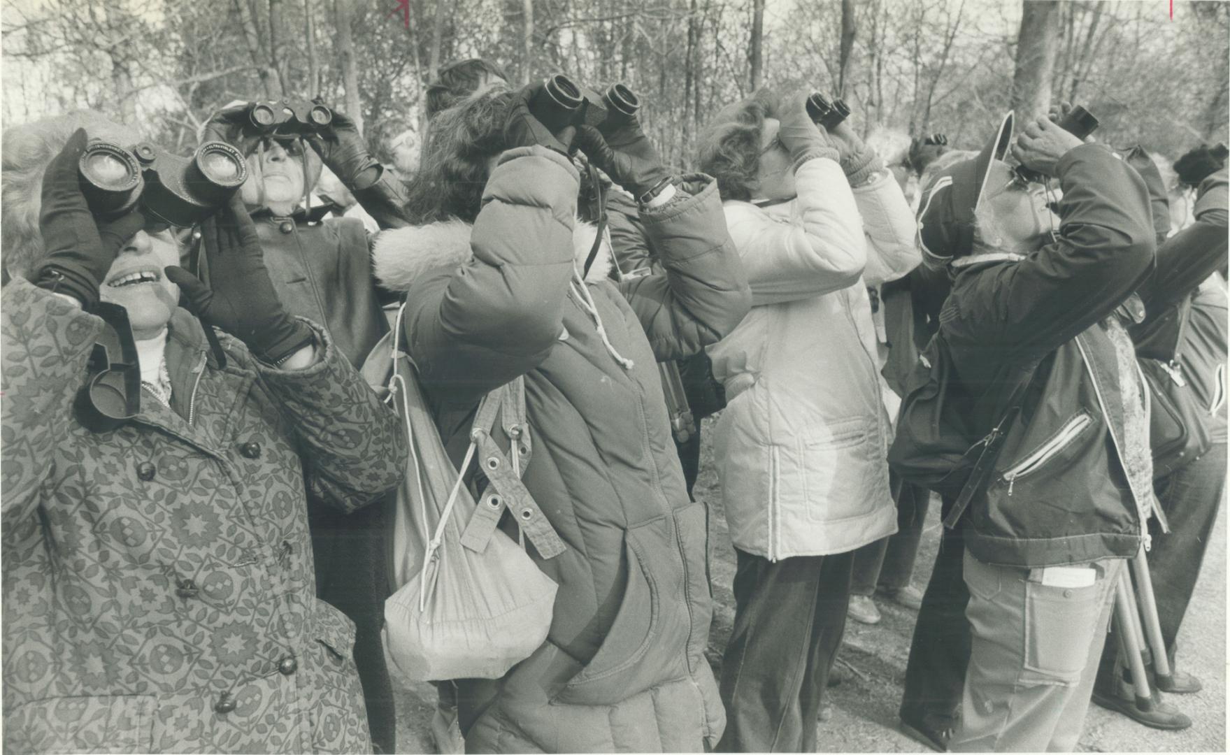 Binoculars jammed to eyes, birders scans the treetops as the great migration begins