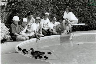 Mother duck escorts some of 11 newborns out of duckyard pool