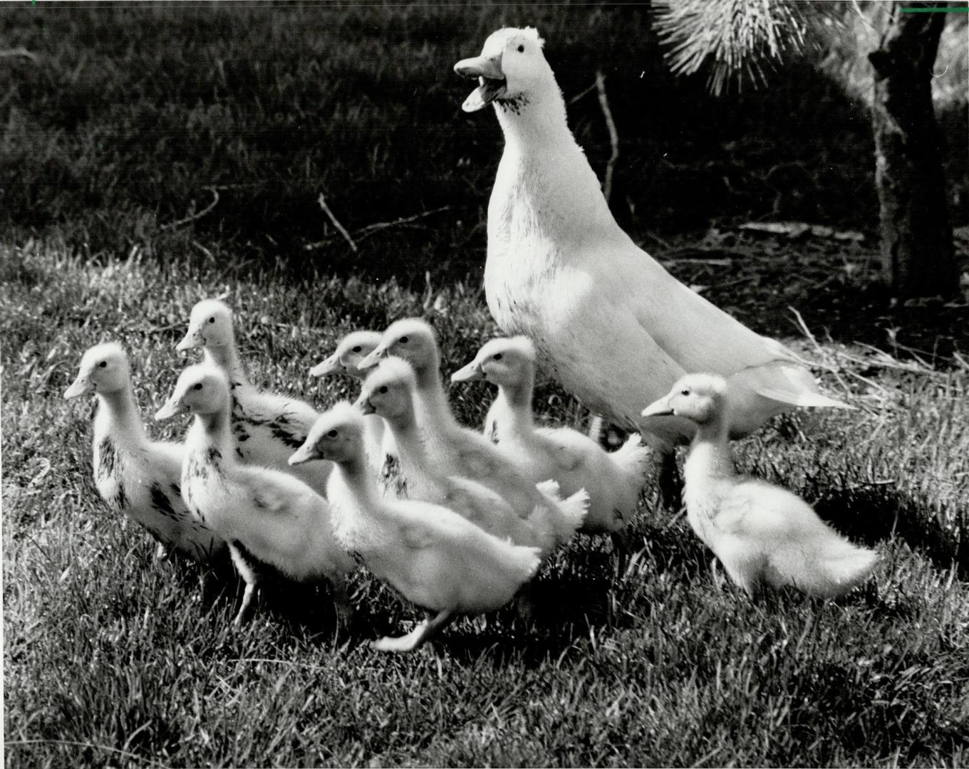 Marching in formation