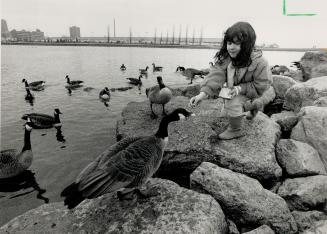 Meal time. Natalie Nowakowski, 10, of Mississauga, has plenty of company in these Canada Geese for a snack at J.C. Saddington Park in Port Credit on t(...)