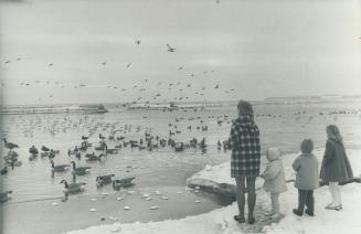 It was nice weather for feeding ducks