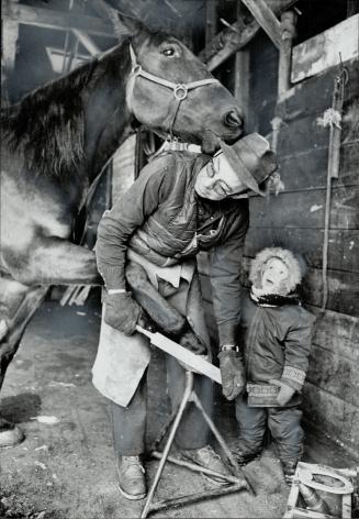 The Pacer Littler Baron, whose nickname is Parker, tries to steal Charlie Langen's hat while he's getting new shoes