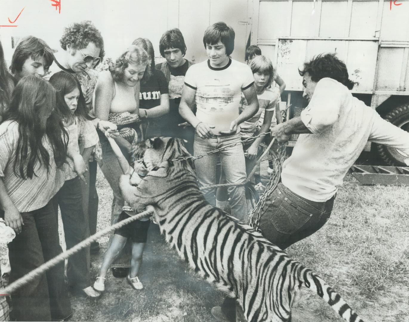 Circus Tiger, 1, knocks over boy, 2