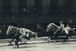 Whoa there, fella: Tamerian Nugzarov's galloping team of Caucasian Djigits are capable of extraordinary tricks