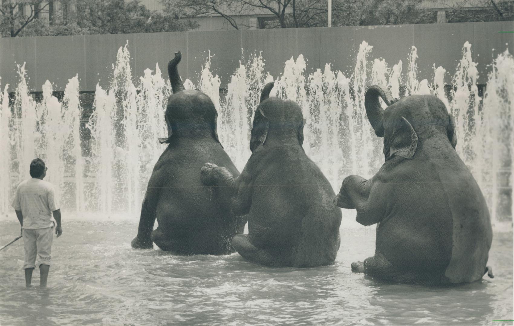 Synchornized swimming - jumbo style, Kids Tuesdays begin with a splash yesterday at Nathan Phillips Square