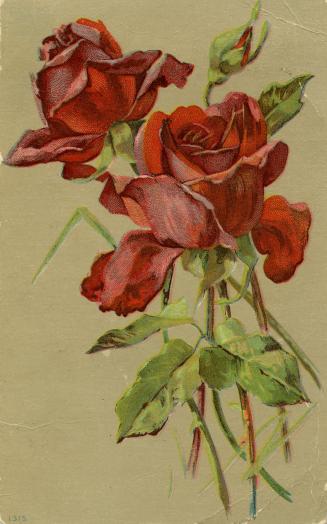 Two red roses