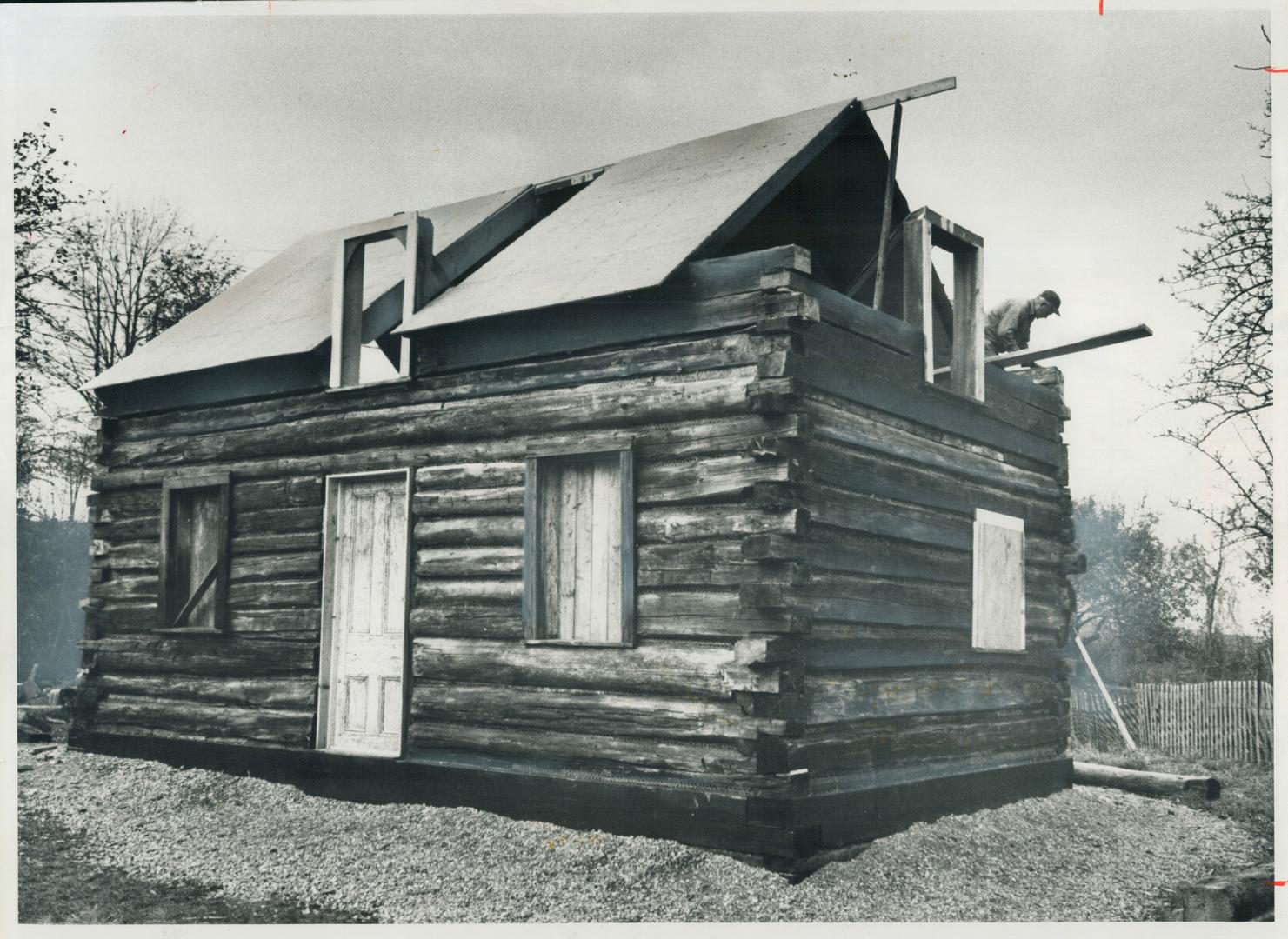 Racing the winter storms, Fred Hilton hurries to complete the roof of a log cabin at Kelso Conservation area