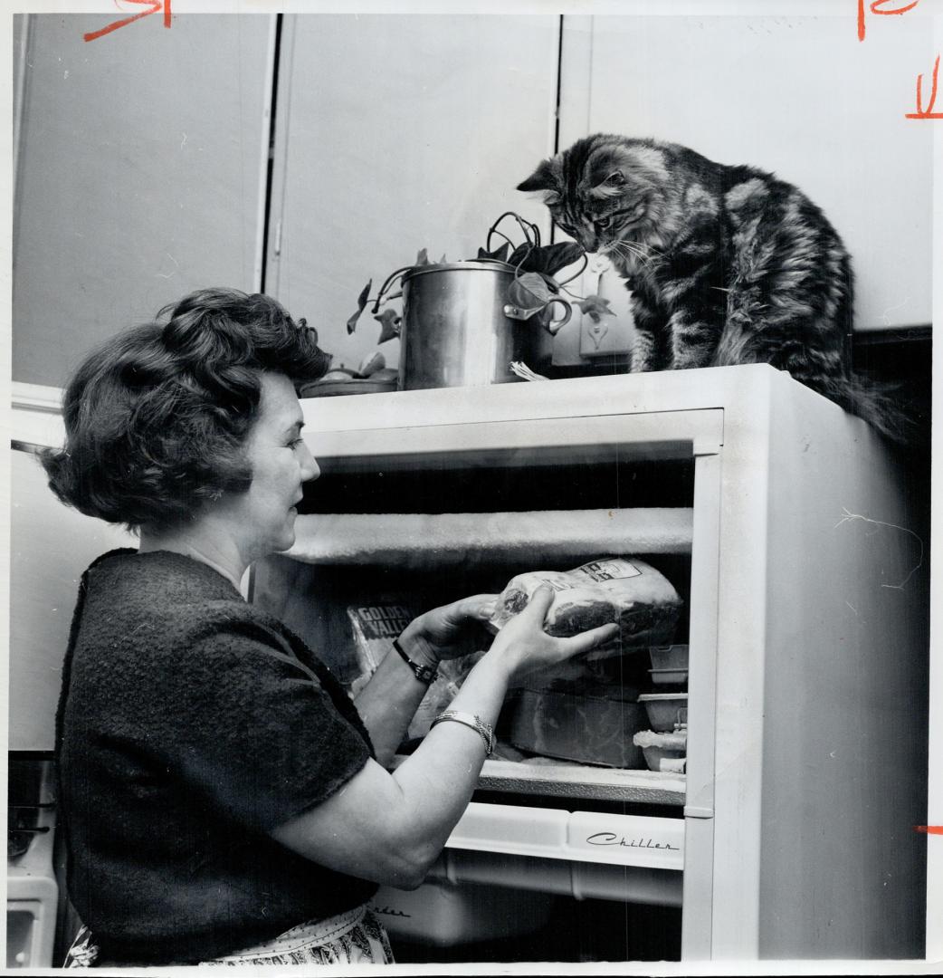 Mrs. Gordon B. Armstrong keeps some of her meat in small freezer. The family cat, Jerry, likes to sit on top of the big refrigerator