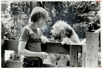 It took three months for Craig Ostopovich to teach Dawg, who is also deaf, a few simple hand signals