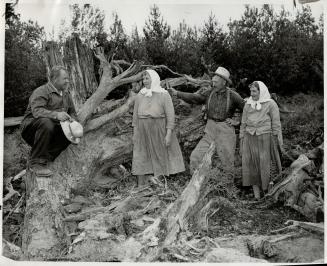 Hard work clearing land for the Vancouver Island community keeps everyone busy