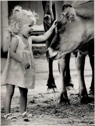 Down on the farm: Meighan de Jong, 1 1/2, (top) is all smiles as she gives a friendly pat on the nose