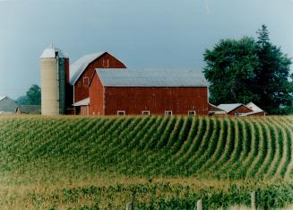 Farms - miscellaneous