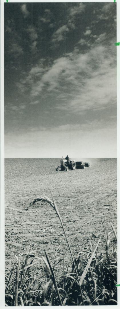 Spring planting, On the Praries? No, Georgetown, about 50 kilometres northwest of downtown Toronto where Harvey Nurse is putting in soya beans