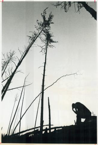 Stark blackness surrounds a weary firefighter in burned-out bush near Savant Lake, 120 miles northeast of Dryden