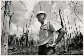 Battle over: Charred skeletons are all that remain of the trees as Harris Lake cottager Cliff Shaw, 63, takes a breather after fighting a fire that threatened about 200 cottages