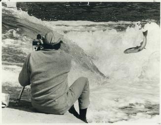 Another wy to catch a fish. A catch for Dan Gibson is strictly on film as he angles for a shot beside the Credit River near Streetsville. Gibson is a (...)