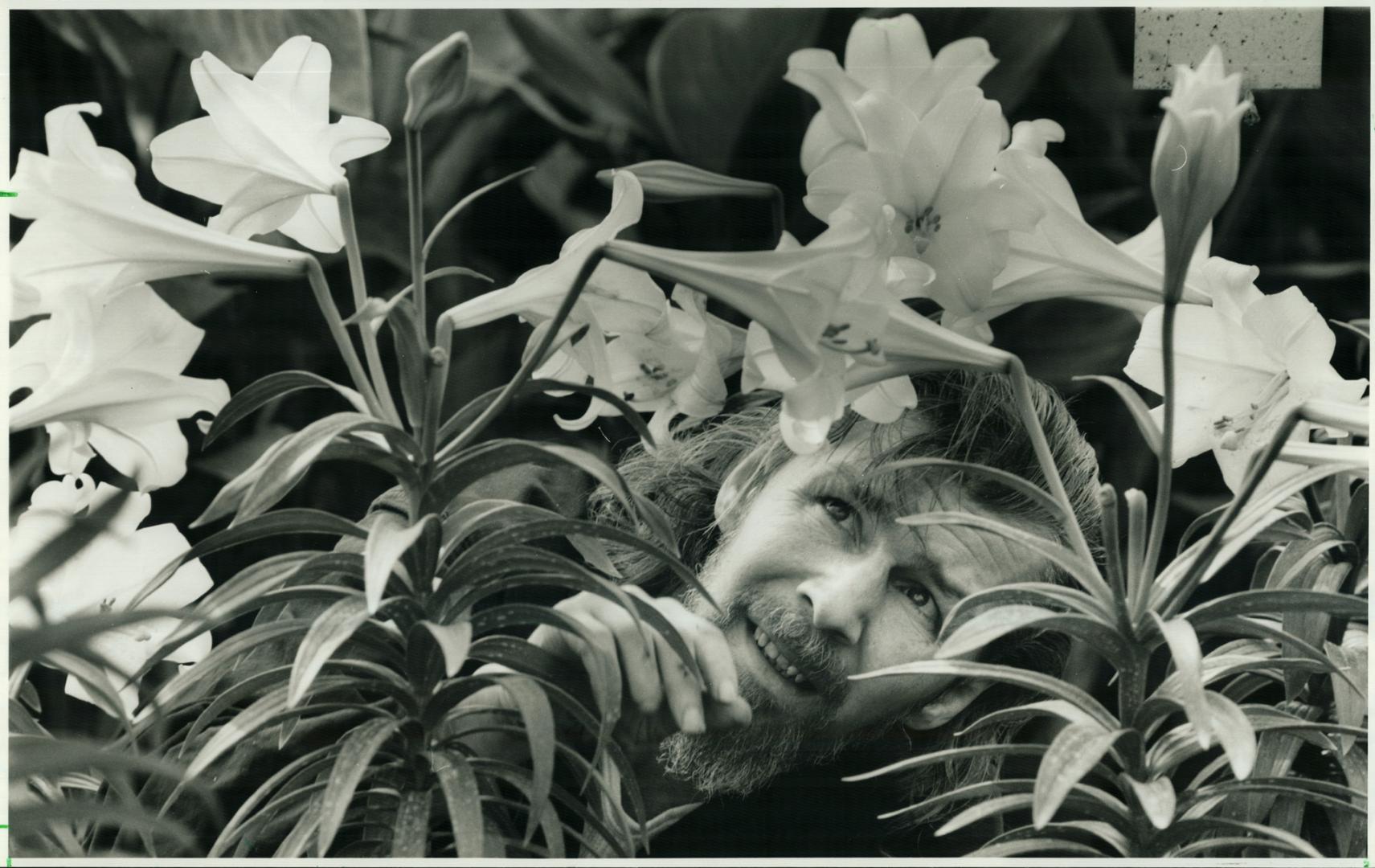 Easter Lilies show off their frills