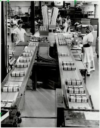 Quick pace: Packaged Turtles, right, reach the end of the production line at Laura Secord in the year-end rush which runs from the middle of September