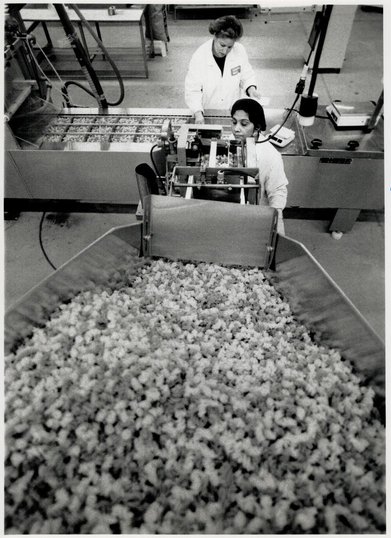 Bibi Mohamed, front, and Domenica Senisi prepare oodles of noodles at European Noodles Inc