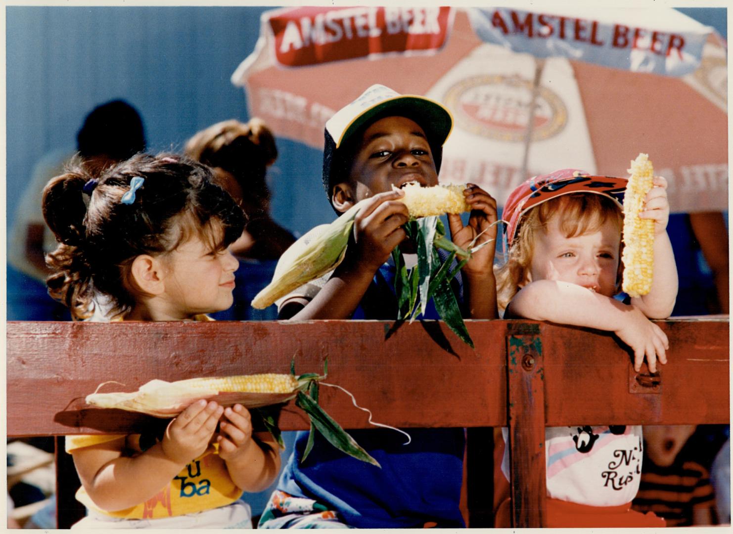 Ears looking at you - kids! Courtney Brown, 5, (centre) goes to town on his peaches and cream varity corn, while Robyn Naster, 3, (left) and Jordana Blerenbaum, 2, find other uses for their cobs