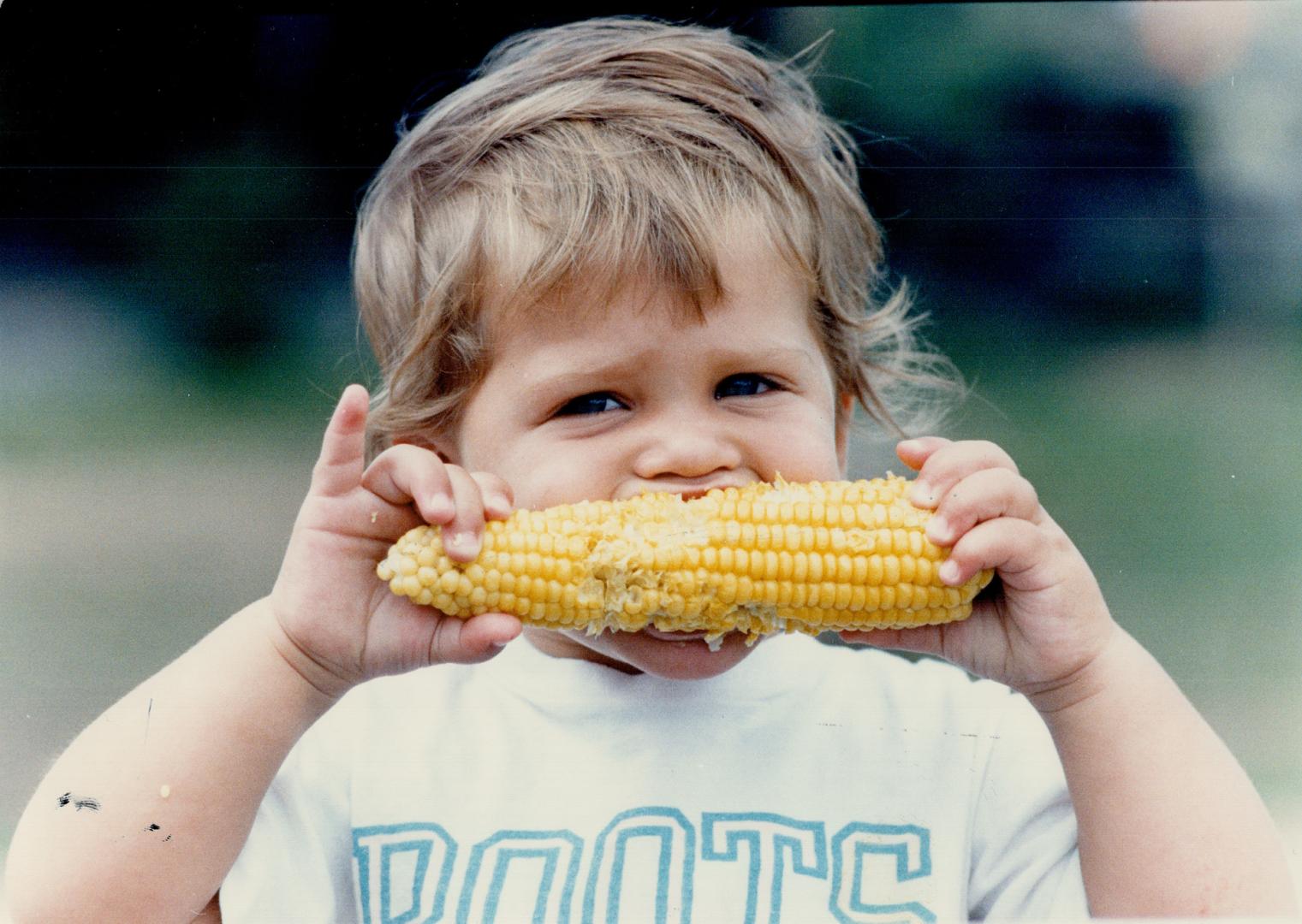 Mmmmmm, how sweet it is!, Erin Cooperberg of Thornhill, aged 19 months, digs in to a cob of fresh corn at Puck's Farm