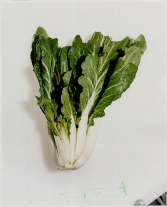 Bok Choy