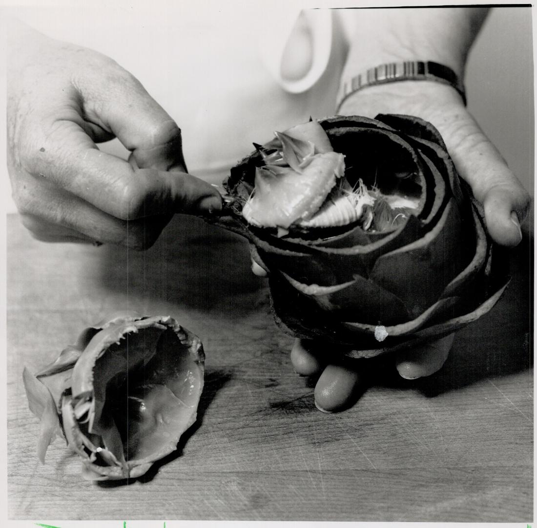 Cooking an artichoke: Anne Willan, author of La Varenne Pratique, recently demonstrated how to prepare a prickly but delicious artichoke