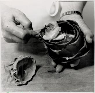 Cooking an artichoke: Anne Willan, author of La Varenne Pratique, recently demonstrated how to prepare a prickly but delicious artichoke