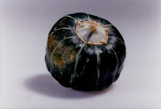 Buttercup Squash