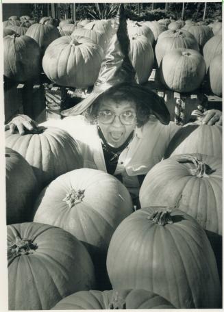 Antionette Amodeo checks out the more than 1,000 pumpkins on display at Islington Nursery on Islington Ave.