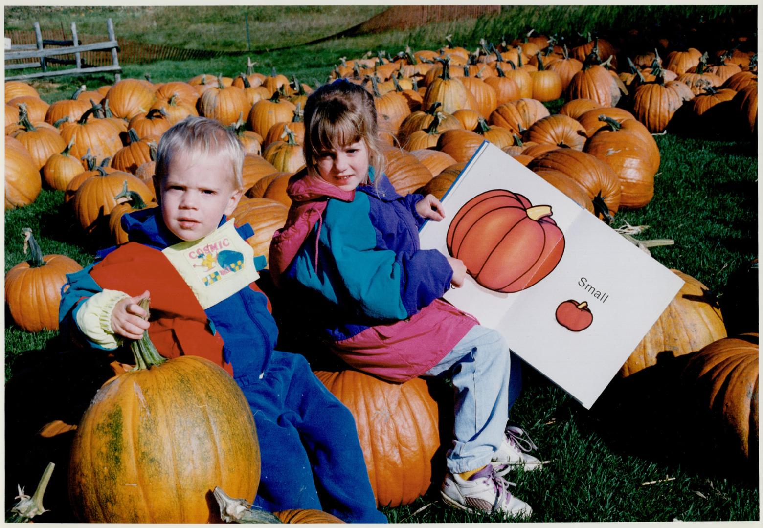 Pick of the patch: Jessica Sangwin, 5, and her brother Jeffrey, 2, learn about pumpkins at Downey's Farm Produce on Heart Lake Rd