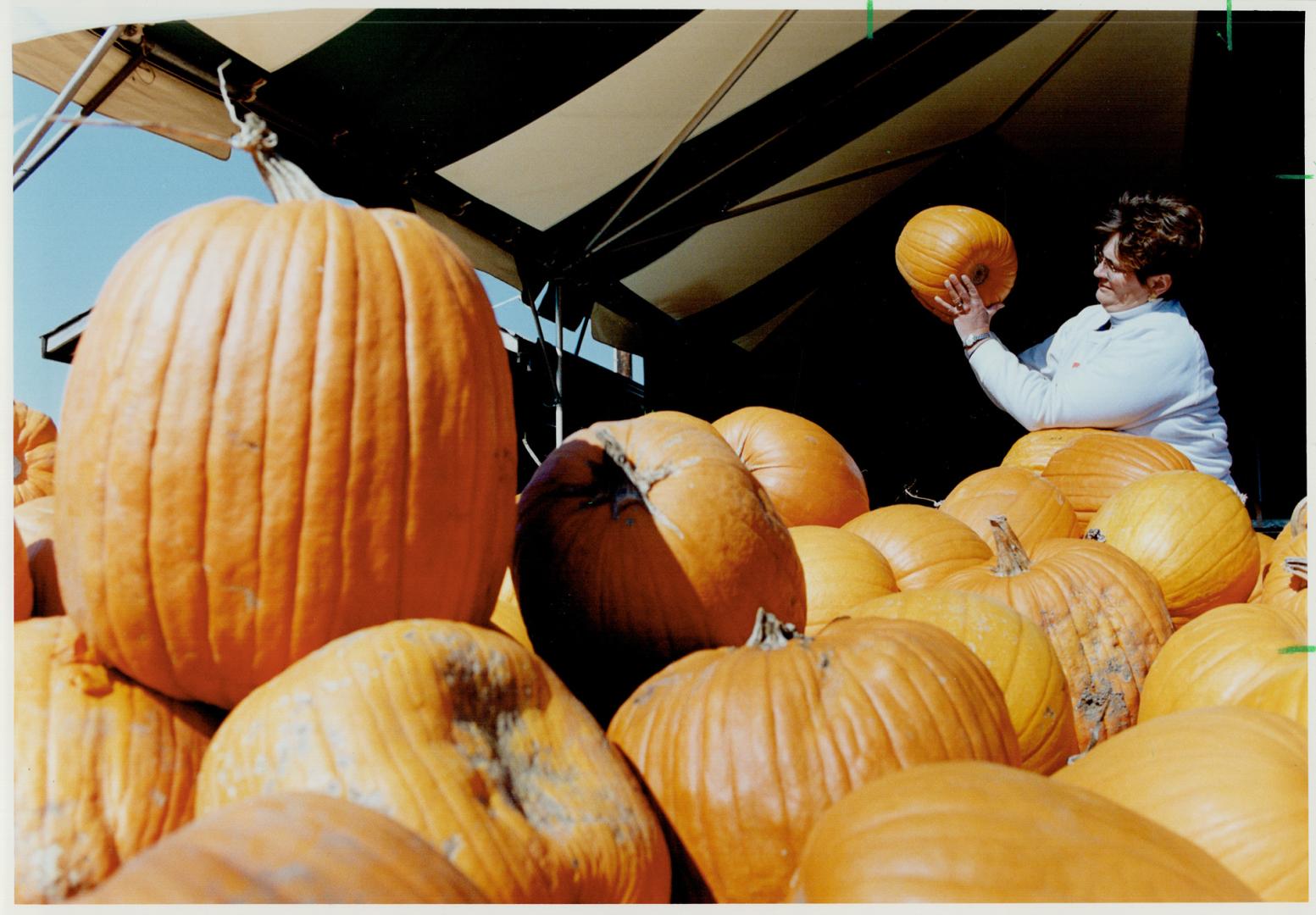 Stack O' Lanterns: You need piles of pumpkins for scary Holloween fun