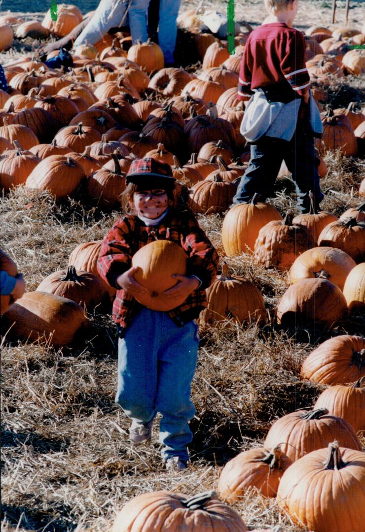 Pumpkins