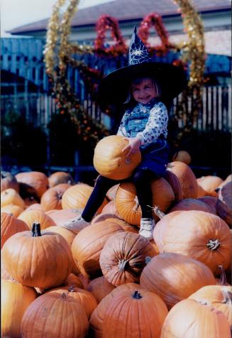 Food - Vegetables - Pumpkin