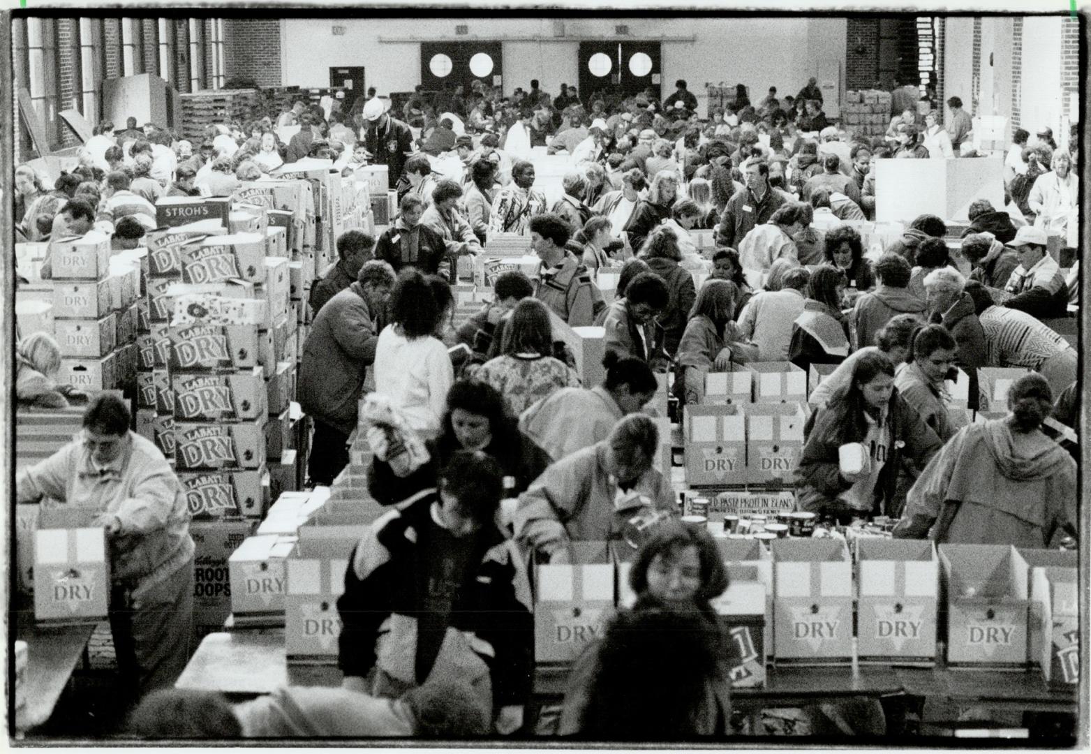 Team effort: Metro food bank volunteers sort donations in the CNE HOrticultural Building yesterday afternoon